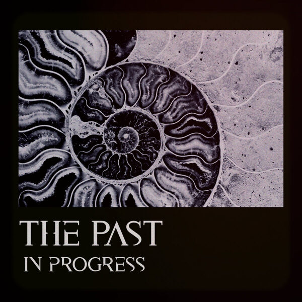 THE PAST IN PROGRESS